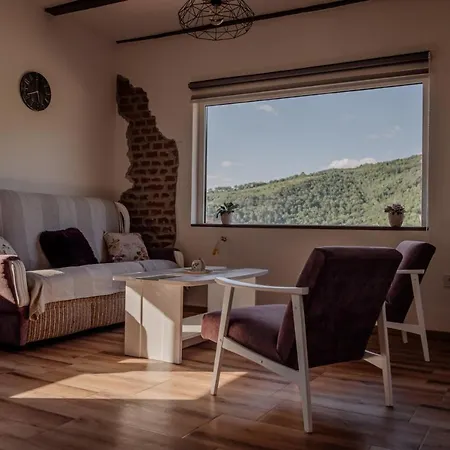 Apartment Ruzina Staza