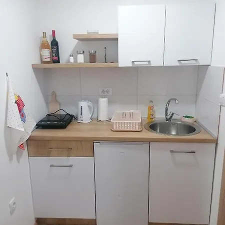 Apartment Ruzina Staza Rudnik