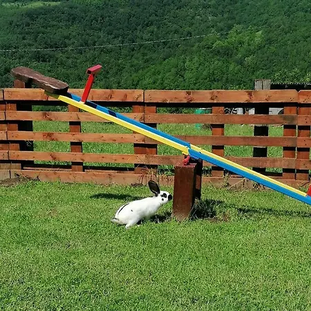 Apartamento Ruzina Staza *