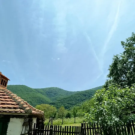 Apartment Ruzina Staza *