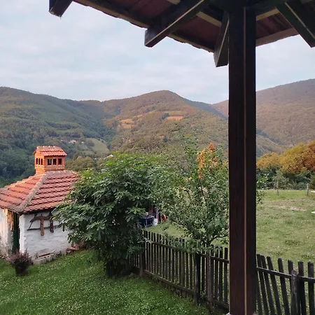 Ruzina Staza *