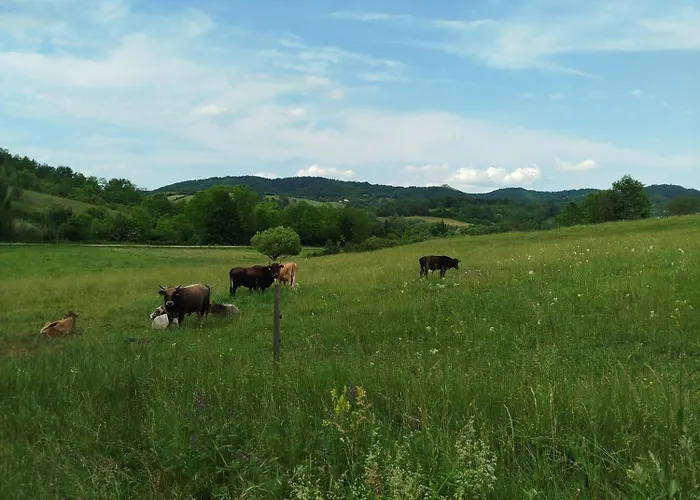 Ruzina Staza * Rudnik